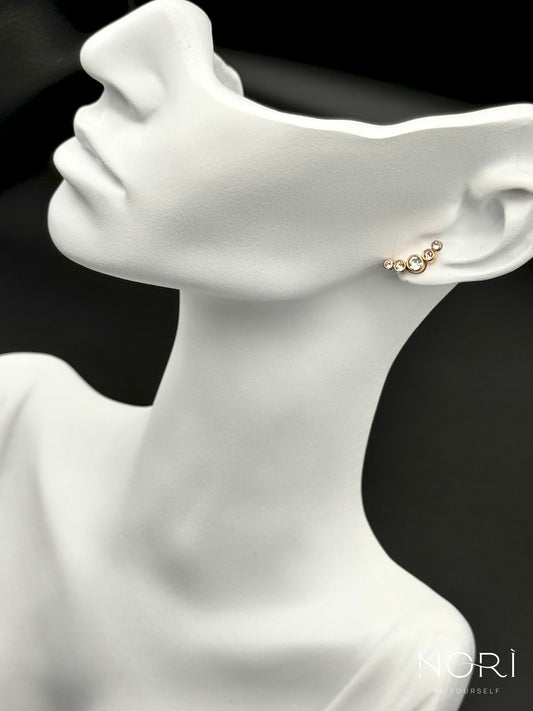 Piercing_Arras_roz