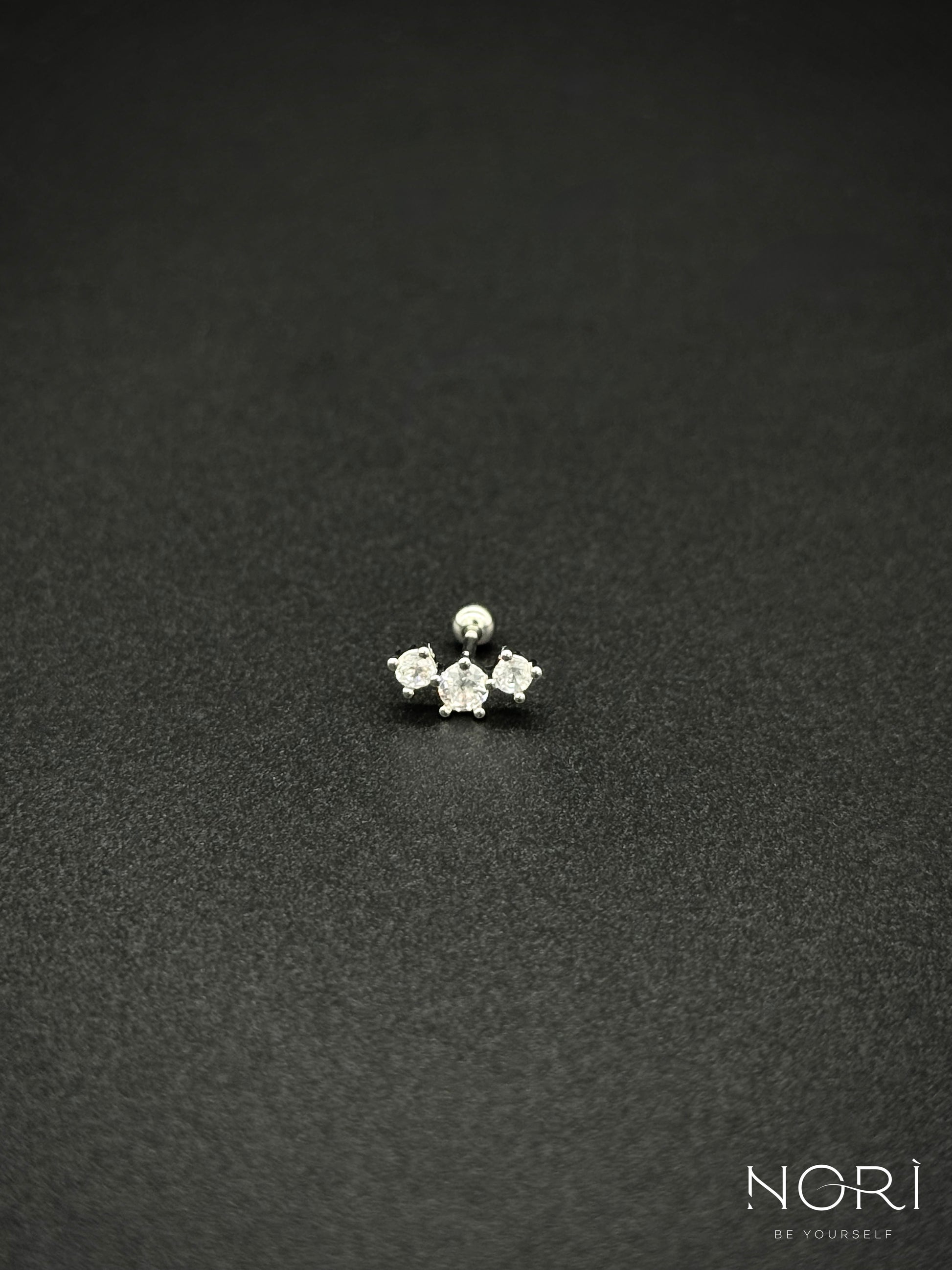 Piercing_Arcachon_argintiu