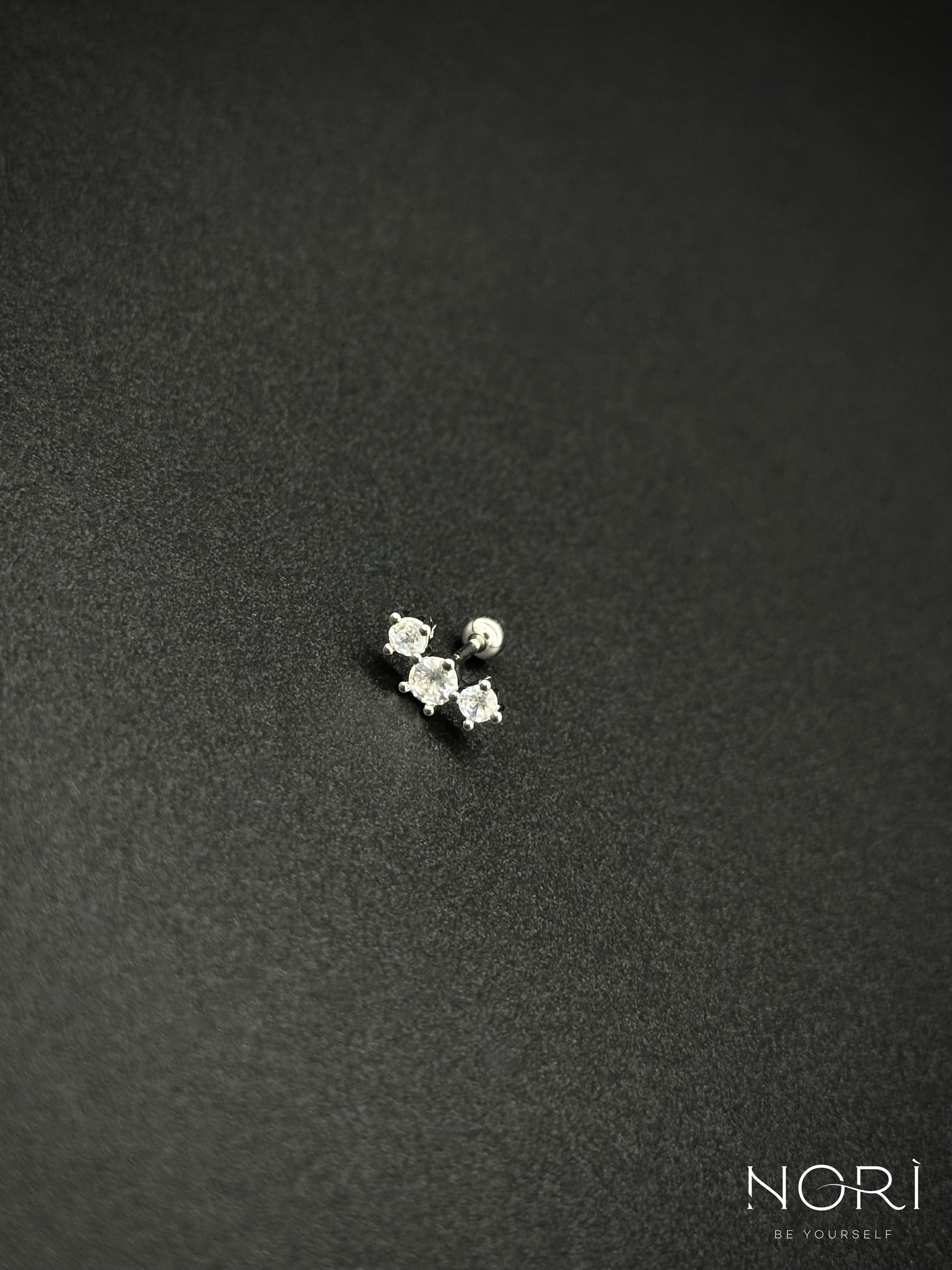 Piercing_Arcachon_argintiu