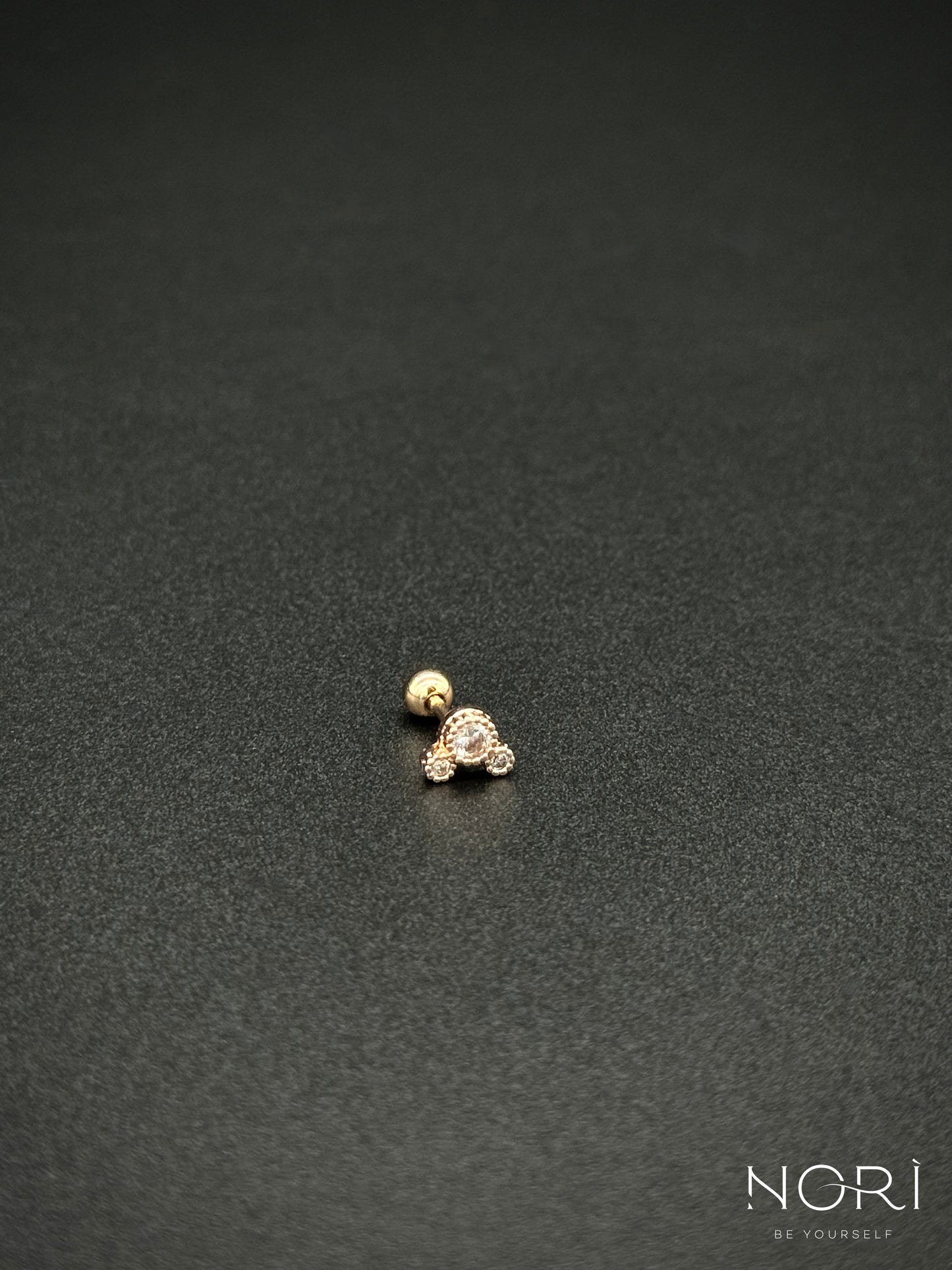 Piercing_Amboise_ursulet