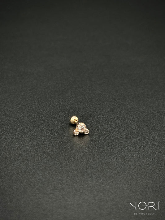 Piercing_Amboise_ursulet