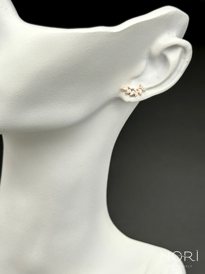 Piercing_Amboise_sase petale