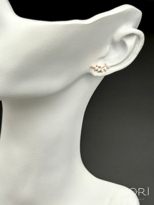 Piercing_Amboise_sase petale