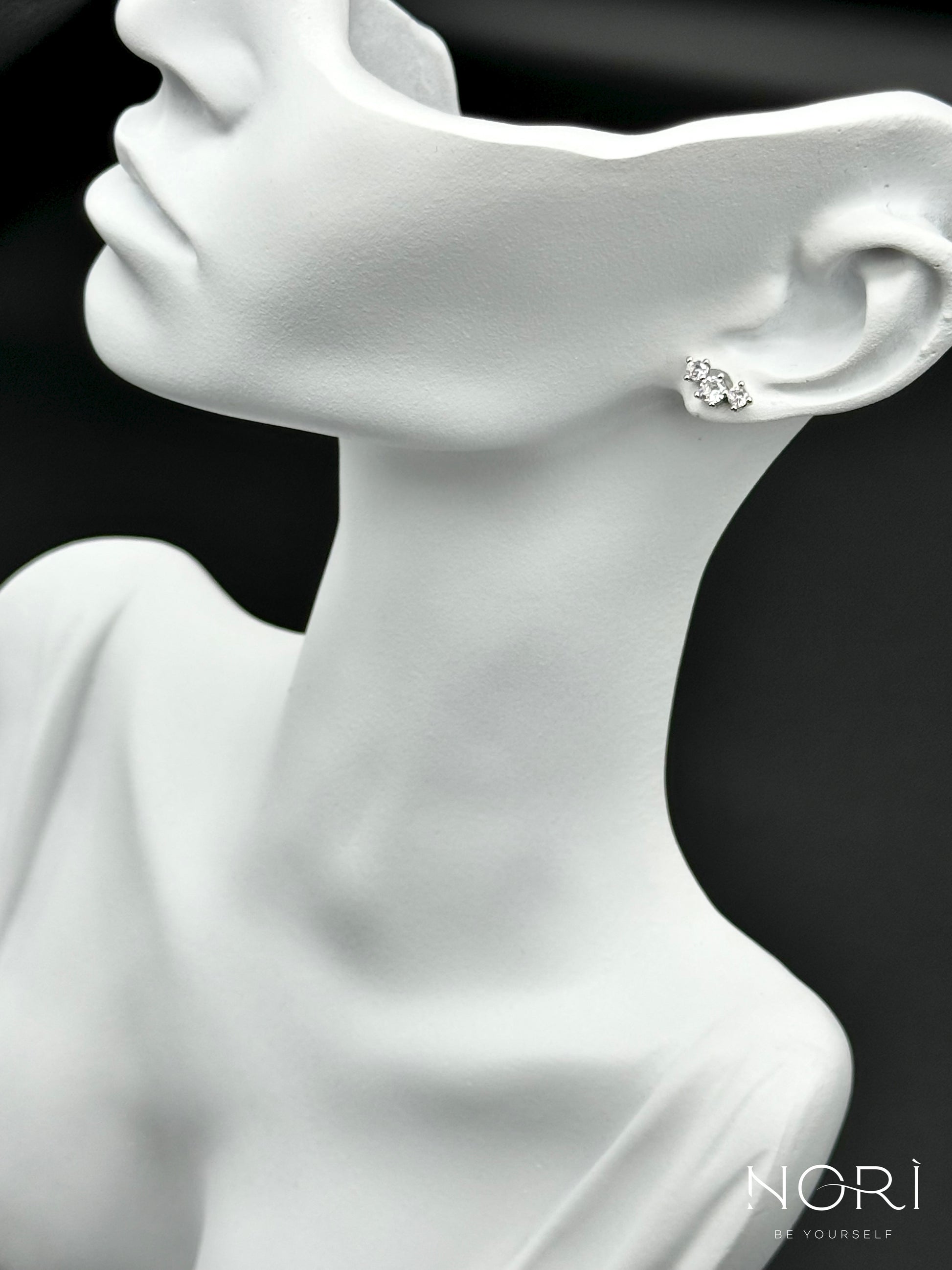 Piercing_Arcachon_argintiu