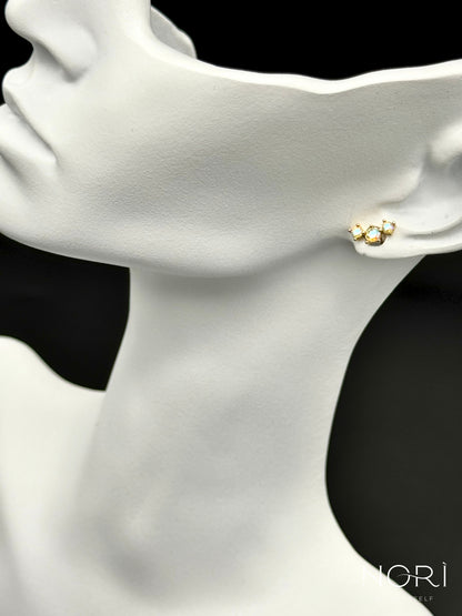 Piercing_Arcachon_auriu