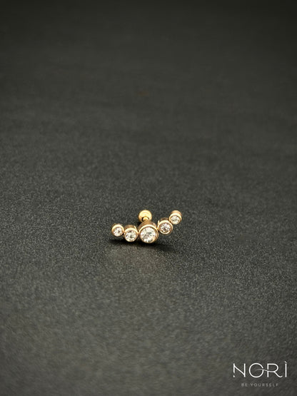 Piercing_Arras_roz
