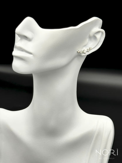 Piercing_Ajaccio