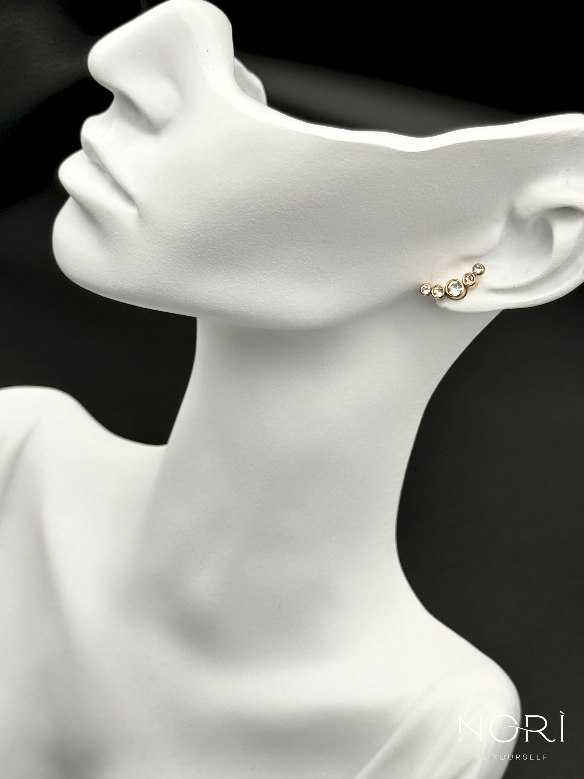 Piercing_Arras_roz