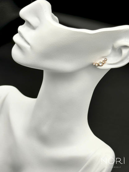 Piercing_Arras_roz
